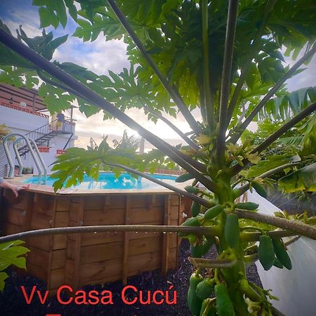 Villa Casa Cucu Tazacorte Exterior foto