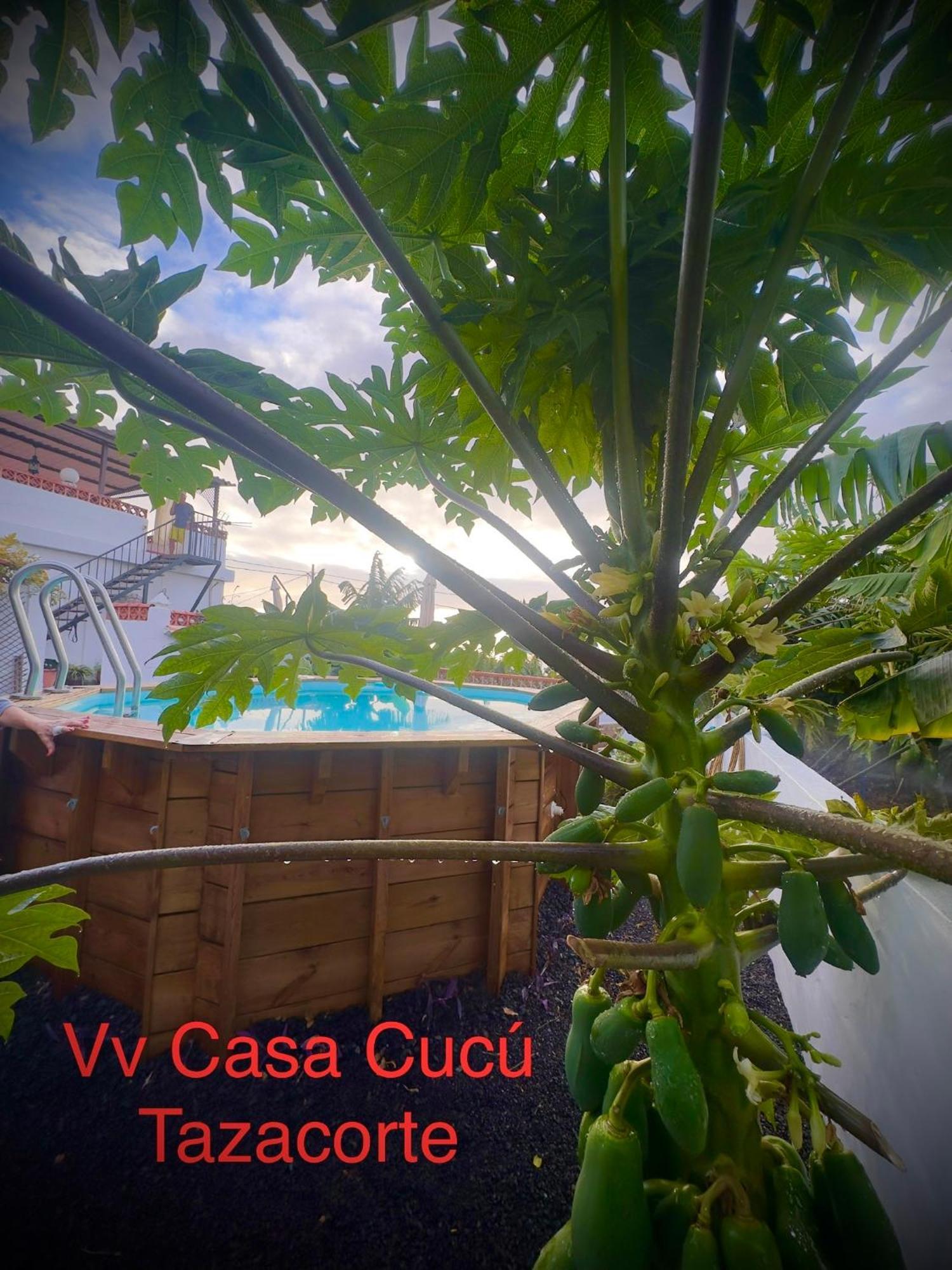 Villa Casa Cucu Tazacorte Exterior foto